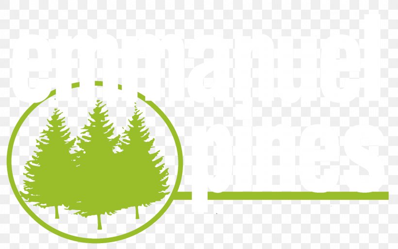 T-shirt Shiloh Christian Fellowship Forest Trail 332 Emmanuel Pines Camp & Conference Center Logo, PNG, 1920x1200px, Tshirt, Arizona, Brand, Grass, Green Download Free