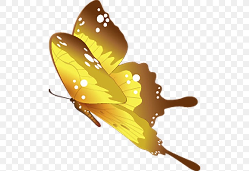 Butterfly Motif, PNG, 500x563px, Butterfly, Arthropod, Artworks, Butterflies And Moths, Decorative Arts Download Free