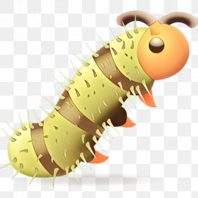 Caterpillar Larva Insect Cartoon Moths And Butterflies PNG