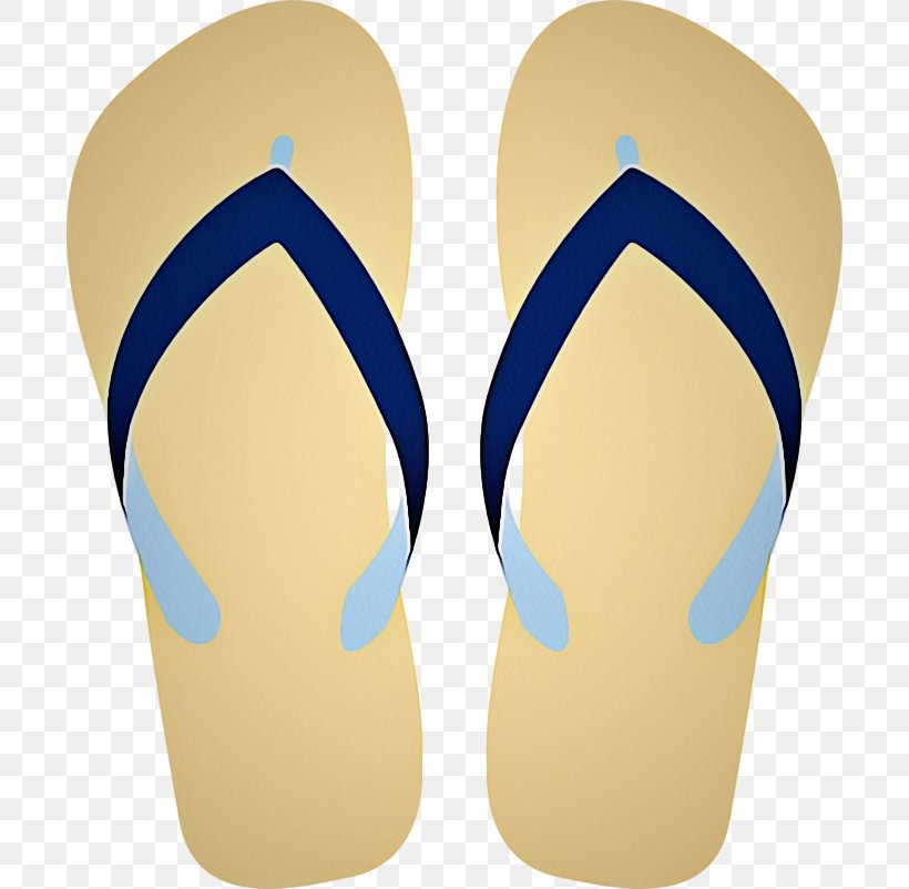 Flip-flops Slipper Sandal Footwear Shoe, PNG, 700x802px, Flipflops, Beige, Clothing, Clothing Accessories, Electric Blue Download Free