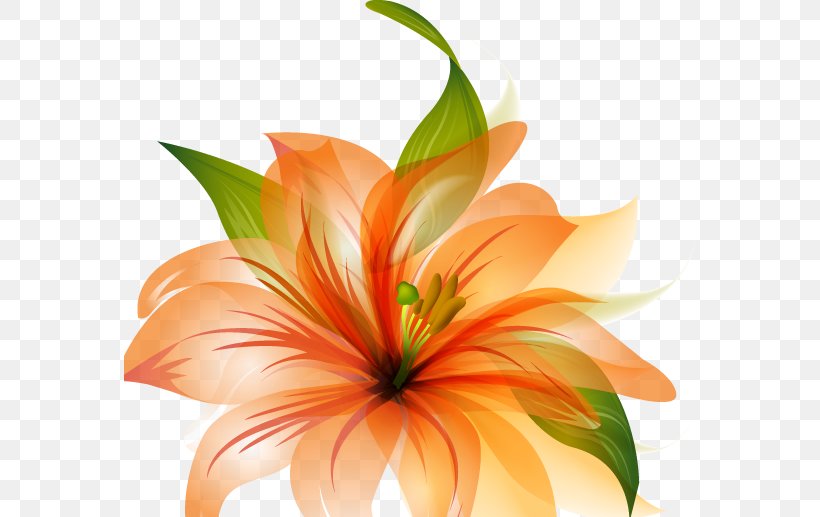 Flower Desktop Wallpaper Orange Petal Wallpaper, PNG, 571x517px, Flower, Blue, Color, Cut Flowers, Floral Design Download Free