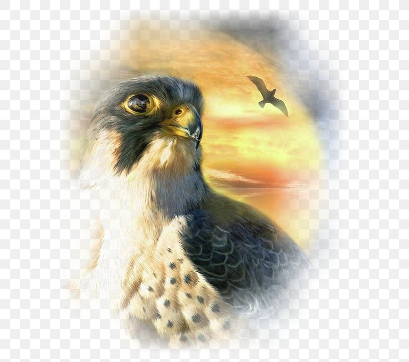 Painting Falcon Bird Art Canvas, PNG, 600x726px, Painting, Art, Artist, Beak, Bird Download Free