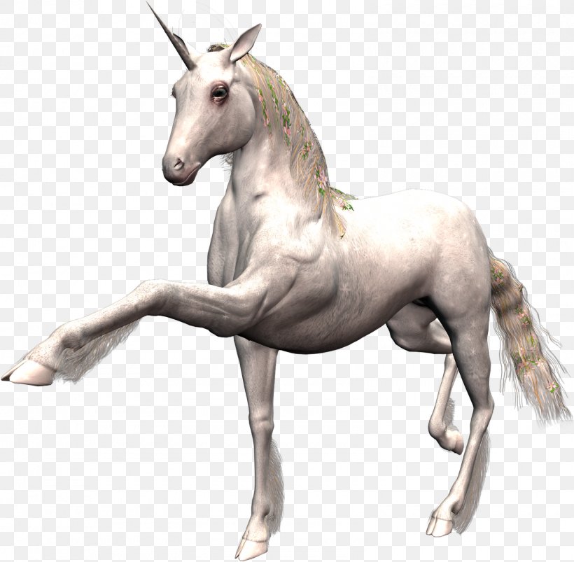 Horse Unicorn Desktop Wallpaper, PNG, 1600x1567px, Horse, Animal Figure, Animation, Digital Image, Display Resolution Download Free