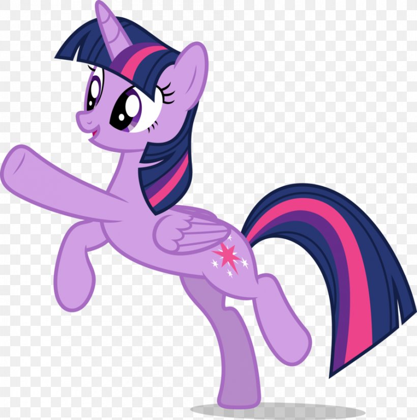 Pony Twilight Sparkle Animation, PNG, 891x897px, Watercolor, Cartoon, Flower, Frame, Heart Download Free