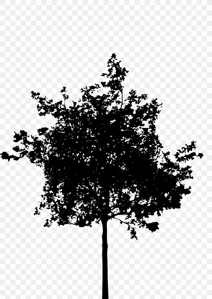 Silhouette Tree Clip Art, PNG, 1703x2400px, Silhouette, Black And White, Branch, Leaf, Monochrome Download Free