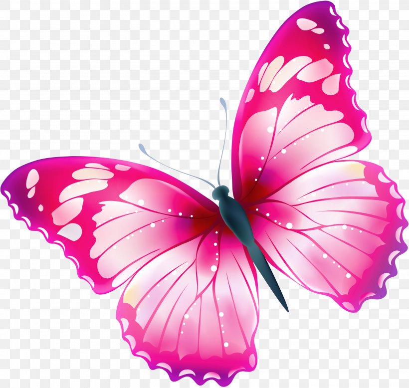 Butterfly Free Greta Oto Clip Art, PNG, 2910x2764px, Butterfly, Arthropod, Blog, Brush Footed Butterfly, Butterflies And Moths Download Free