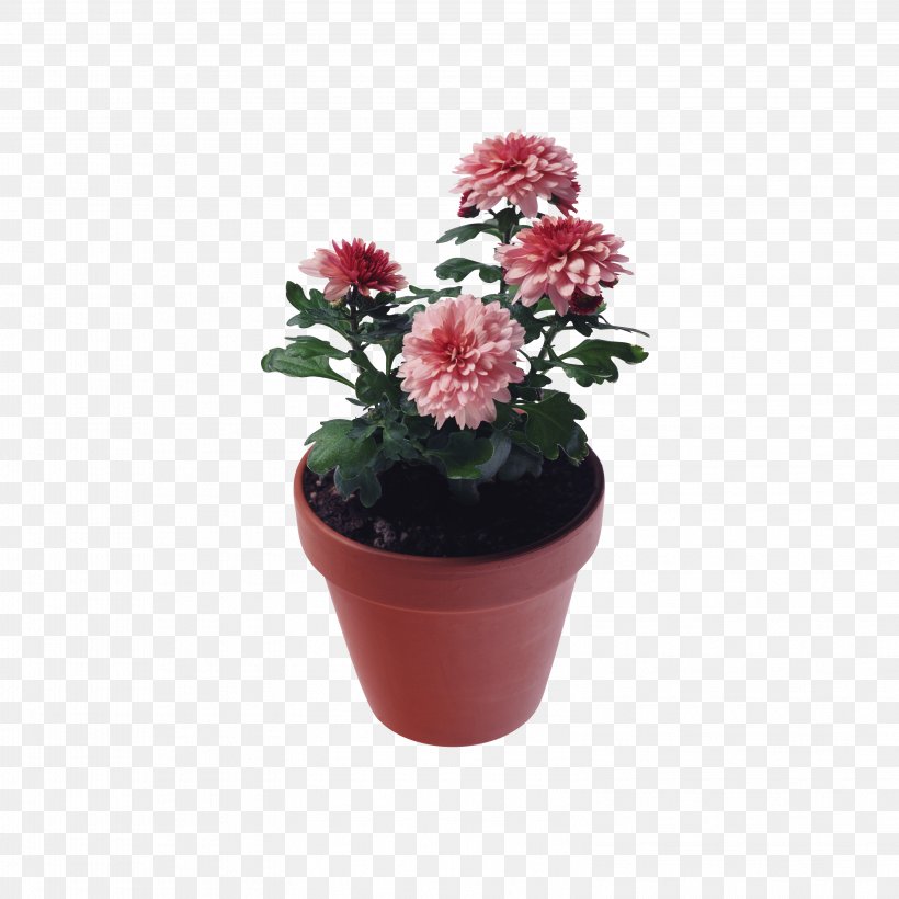 Chrysanthemum Clip Art, PNG, 3156x3156px, Chrysanthemum, Cut Flowers, Digital Image, Flower, Flowering Plant Download Free