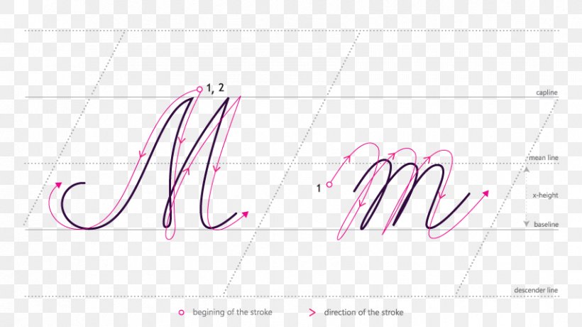 Logo Brand Line Font, PNG, 854x480px, Logo, Brand, Calligraphy, Pink, Pink M Download Free