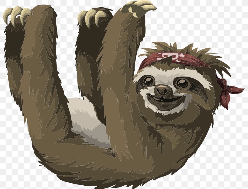 Pygmy Three-toed Sloth Free Content Clip Art, PNG, 800x625px, Sloth, Bear, Carnivoran, Drawing, Fauna Download Free