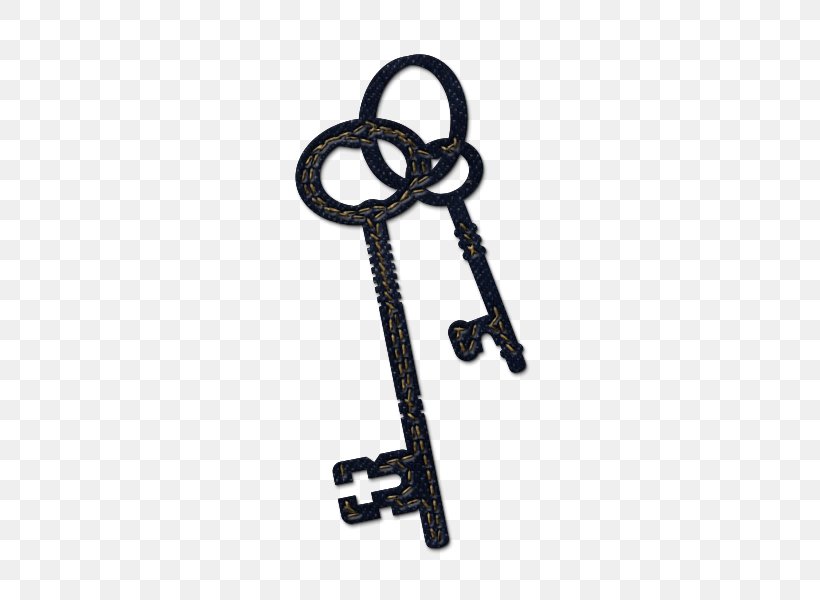 Skeleton Key Keyhole Lock Icon, PNG, 600x600px, Key, Business, Computer, Computer Mouse, Icon Design Download Free