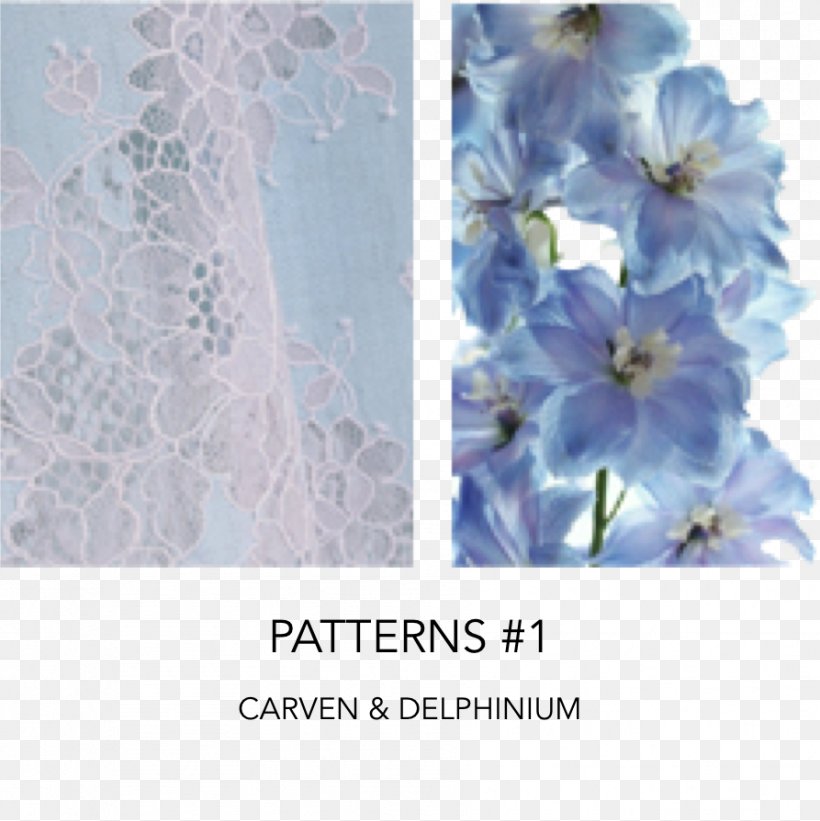 Sky Blue Floral Design J'aimerais Trop Violet, PNG, 893x895px, Blue, Carven, Corn, Doubt, Fashion Download Free