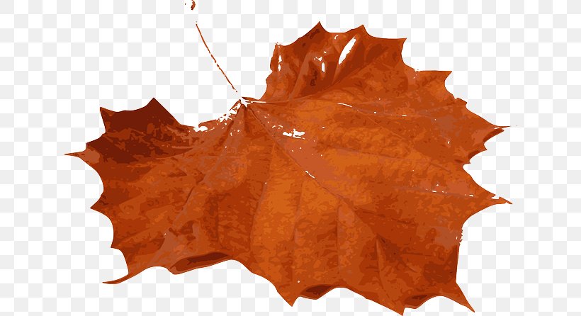 Autumn Leaf Color Maple Leaf Clip Art, PNG, 640x446px, Autumn Leaf Color, Autumn, Green, Leaf, Maple Download Free