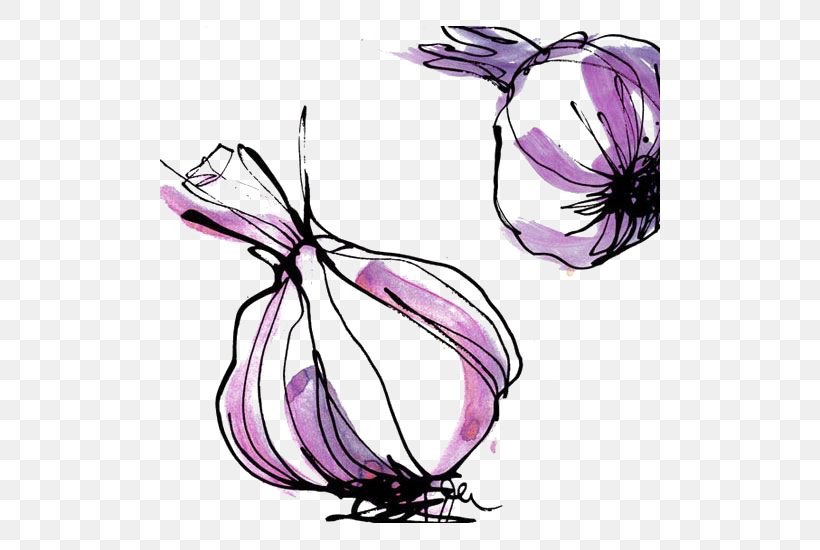 Las Pedroxf1eras Garlic Drawing, PNG, 500x550px, Garlic, Art, Drawing, Flora, Flower Download Free