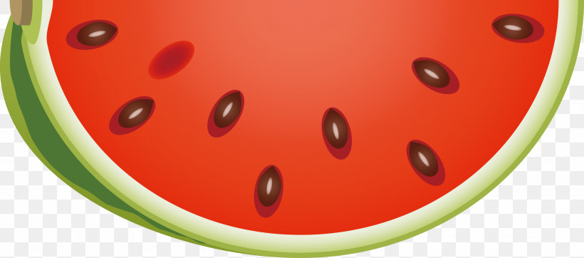 Watermelon, PNG, 3000x1328px, Watermelon, Citrullus, Fruit, Melon, Orange Download Free