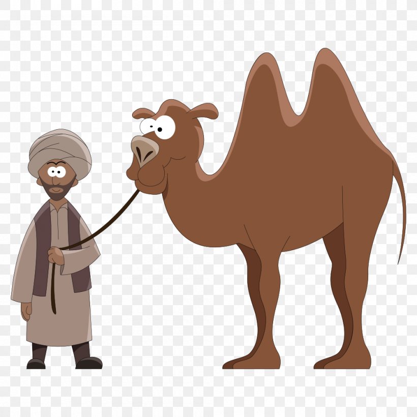 Dromedary Cartoon Royalty-free Clip Art, PNG, 1000x1000px, Dromedary, Arabian Camel, Camel, Camel Like Mammal, Cartoon Download Free