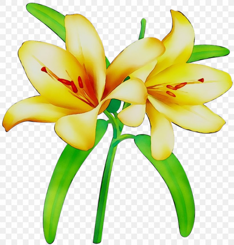 Floristry Cut Flowers Yellow Plant Stem Petal, PNG, 1016x1066px, Floristry, Amaryllis Family, Artificial Flower, Botany, Cut Flowers Download Free