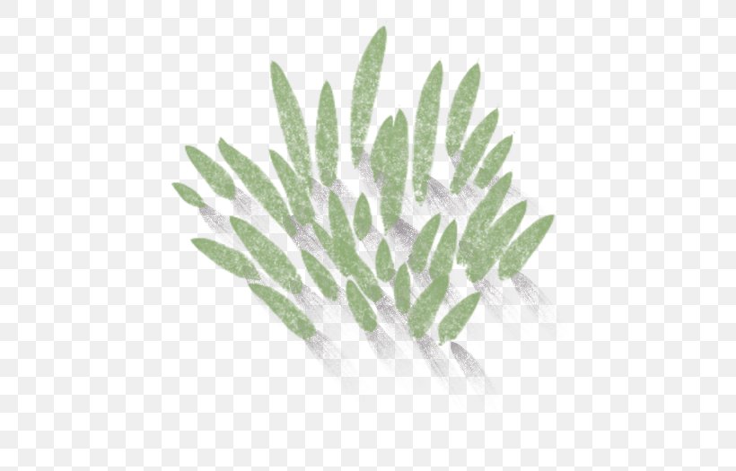 Leaf Plant Stem, PNG, 600x525px, Leaf, Grass, Organism, Plant, Plant Stem Download Free