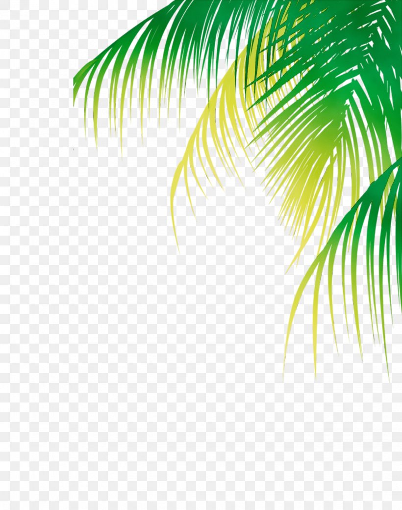 Palm Tree Background, PNG, 1635x2072px, Watercolor, Arecales, Banco De Imagens, Coconut, Elaeis Download Free