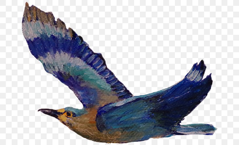 Beak Cobalt Blue Feather Eagle, PNG, 681x500px, Beak, Bird, Blue, Cobalt, Cobalt Blue Download Free