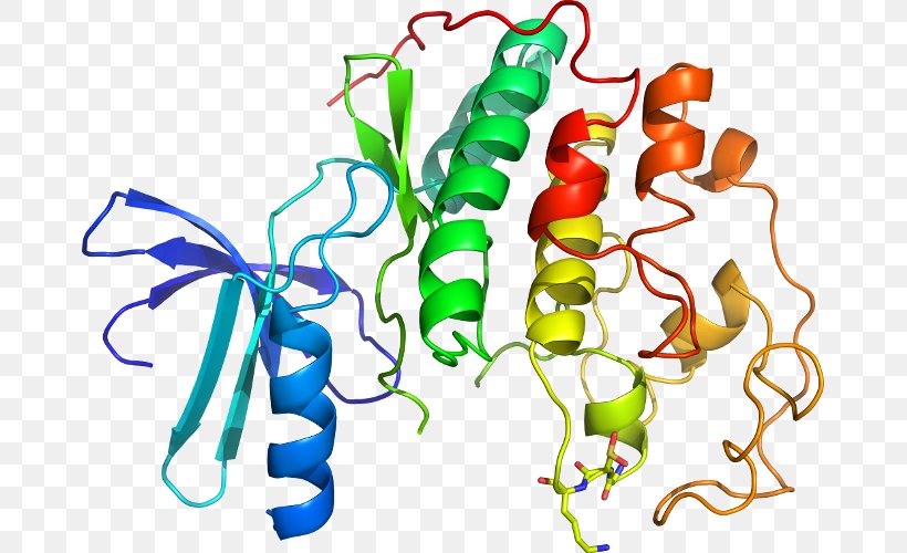 Cyclin-dependent Kinase 2 Protein Kinase, PNG, 671x500px, Cyclindependent Kinase 2, Area, Artwork, Casein Kinase 2, Cell Cycle Download Free