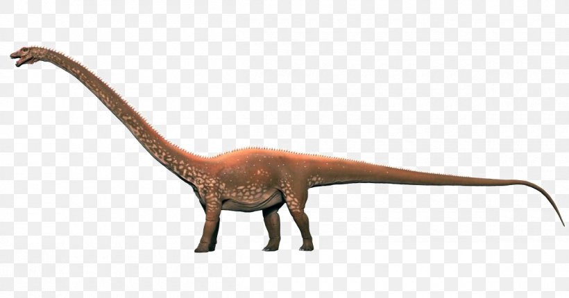 Diplodocus Brachiosaurus Velociraptor Brontosaurus Stegosaurus, PNG, 1200x630px, Diplodocus, Animal Figure, Apatosaurus, Barosaurus, Brachiosaurus Download Free
