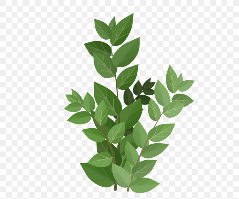 Green Leaf, PNG, 1024x854px, Green, Branch, Flowerpot, Gratis, Herb Download Free