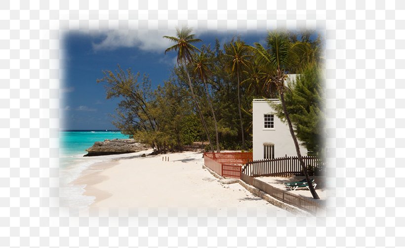 Real Estate Background, PNG, 713x503px, Hotel, Bay, Beach, Building, Caribbean Download Free