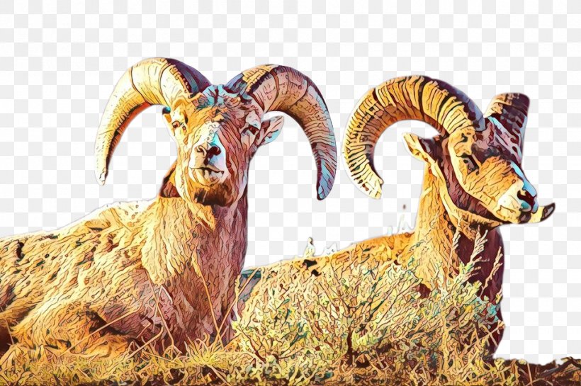 Sheep Argali Goat Fauna Terrestrial Animal, PNG, 960x639px, Sheep, Adaptation, Animal, Argali, Aries Download Free