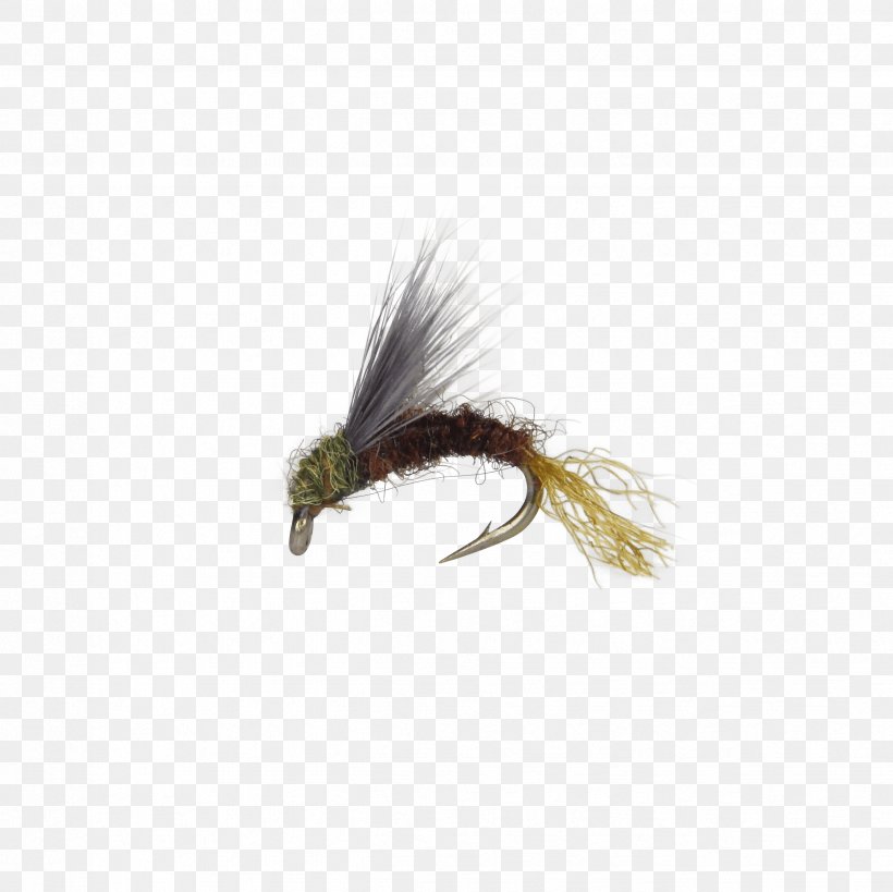 Baetis Insect Fly Fishing Artificial Fly Nymph, PNG, 2448x2448px, Baetis, Artificial Fly, Feather, Fly, Fly Fishing Download Free