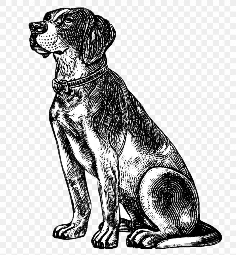 Beagle Pet Sitting Puppy Clip Art, PNG, 1270x1371px, Beagle, Bark, Black And White, Carnivoran, Dog Download Free