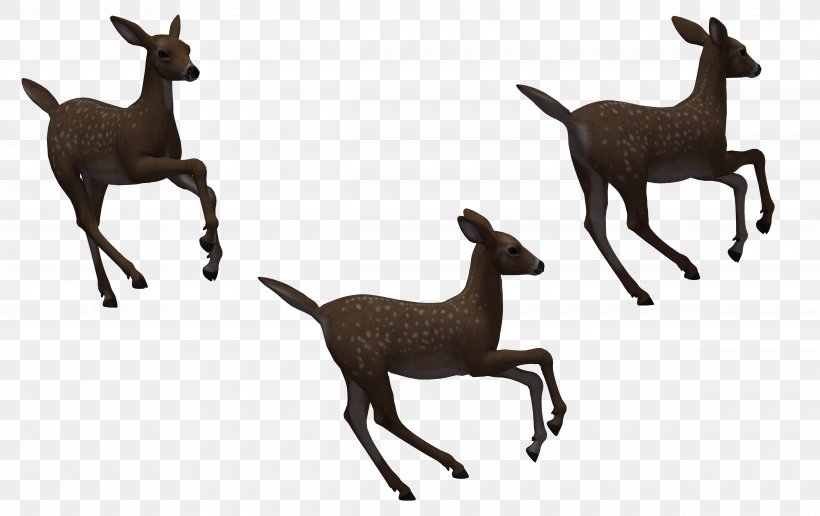 Deer Horse Silhouette, PNG, 4760x3000px, Deer, Antelope, Antler, Camel Like Mammal, Cartoon Download Free