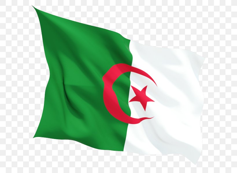 Flag Of Algeria Algiers Algerian War National Flag, PNG, 800x600px, Flag Of Algeria, Algeria, Algerian War, Algiers, Flag Download Free