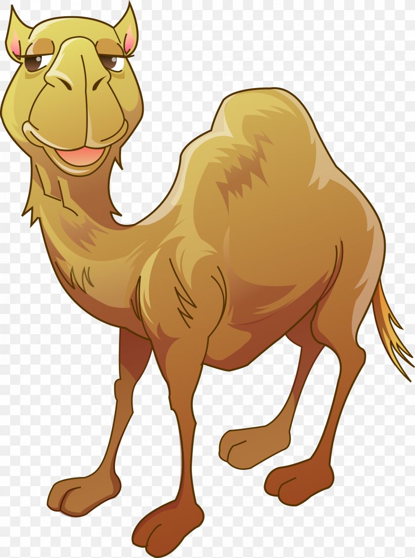 Bactrian Camel Humour Clip Art, PNG, 2329x3131px, Bactrian Camel, Arabian Camel, Camel, Camel Like Mammal, Cartoon Download Free