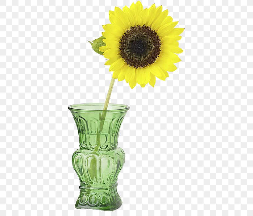 Common Sunflower Vase With Three Sunflowers Cut Flowers Perennial Sunflower, PNG, 412x700px, Common Sunflower, Cut Flowers, Daisy Family, Drawing, Flower Download Free