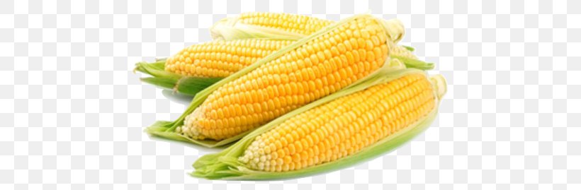 Corn On The Cob Organic Food Sweet Corn Maize Candy Corn, PNG, 479x269px, Corn On The Cob, Candy Corn, Cereal, Commodity, Corn Kernel Download Free