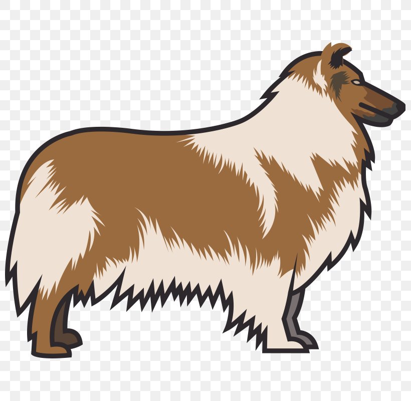 Dog Breed Collie Dachshund Labrador Retriever Police Dog, PNG, 800x800px, Dog Breed, Breed, Carnivoran, Collie, Dachshund Download Free