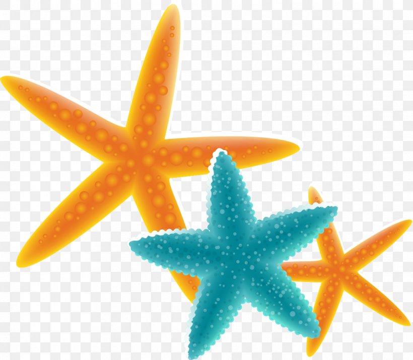 Starfish Euclidean Vector, PNG, 1117x974px, Starfish, Echinoderm, Element, Invertebrate, Marine Biology Download Free