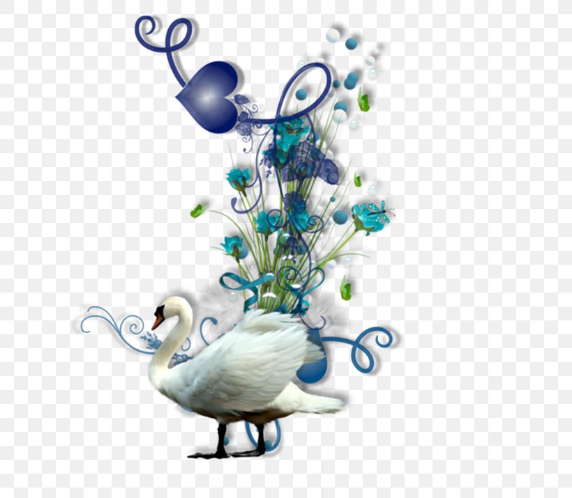 Guynia Cygnini Blog, PNG, 800x715px, Cygnini, Bird, Blog, Duck, Ducks Geese And Swans Download Free