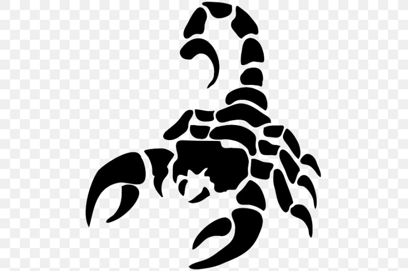 The Scorpion Clip Art Image, PNG, 480x546px, Scorpion, Artwork, Black, Black And White, Drawing Download Free