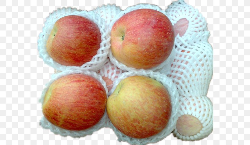 Apple Google Images Auglis, PNG, 578x476px, Apple, Auglis, Food, Fruit, Fuji Download Free