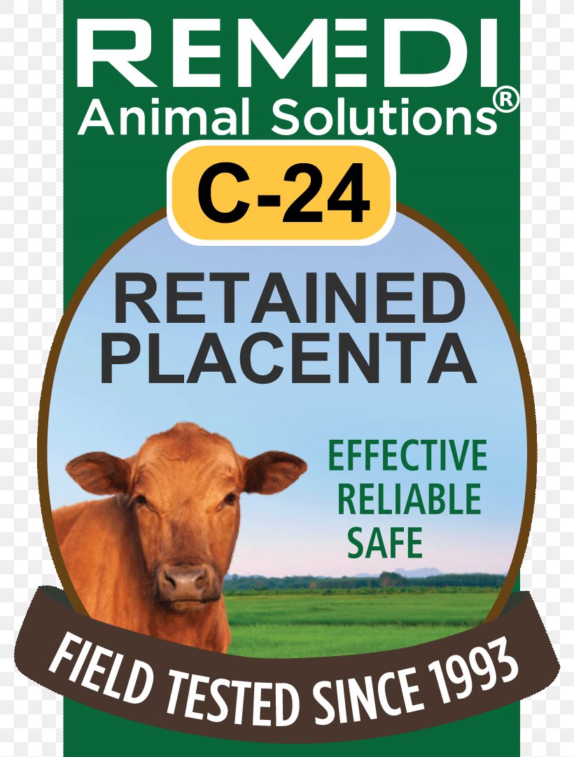 Cattle Homeopathy Preventive Healthcare Safety Remedi Animal Solutions, PNG, 798x1081px, Cattle, Advertising, Alfalfa, Animal, Brand Download Free