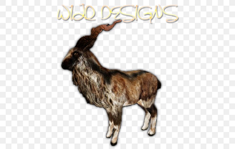 Cattle Reindeer Goat Horn Fauna, PNG, 534x519px, Cattle, Cattle Like Mammal, Cow Goat Family, Deer, Fauna Download Free