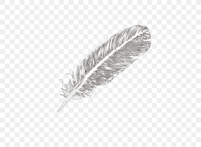 Domestic Goose Feather White Icon, PNG, 600x600px, Domestic Goose, Black And White, Blue, Feather, Hair Download Free