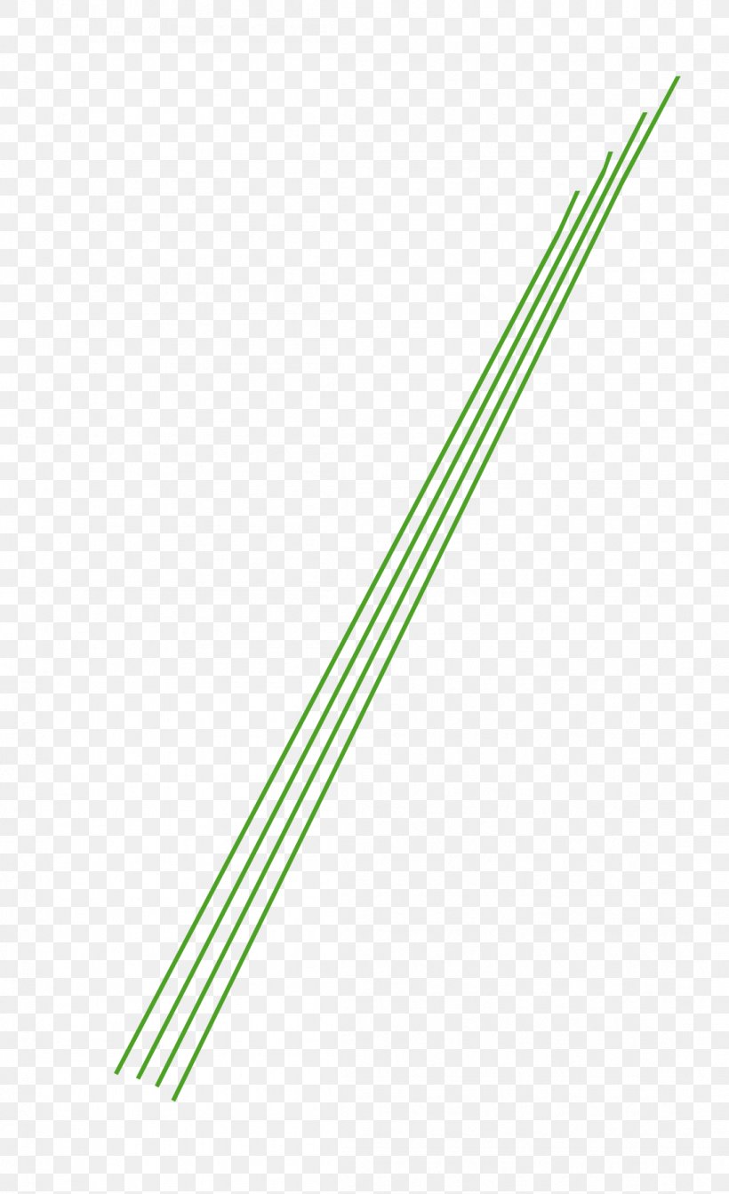 Line Angle, PNG, 1099x1800px, Grass Download Free