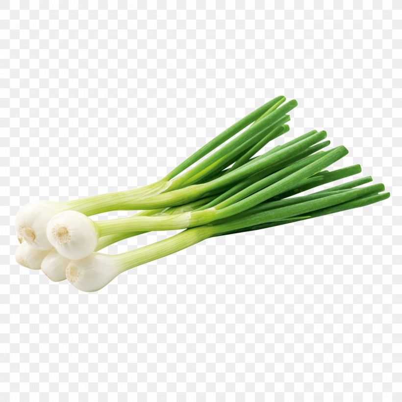 Vegetable Welsh Onion Leek Scallion Food, PNG, 2800x2800px, Vegetable, Allium, Amaryllis Family, Celery, Chives Download Free