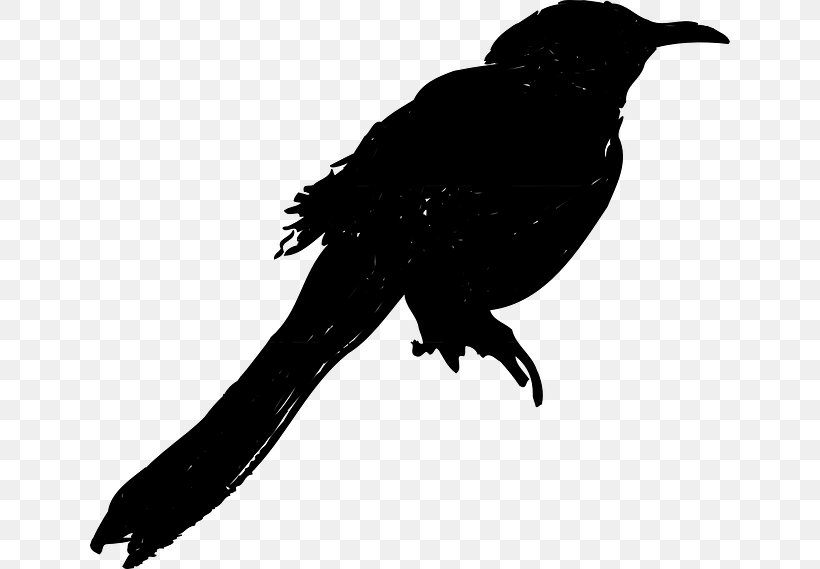 American Crow New Caledonian Crow Common Raven, PNG, 640x569px, American Crow, Beak, Bird, Blackbird, Common Raven Download Free