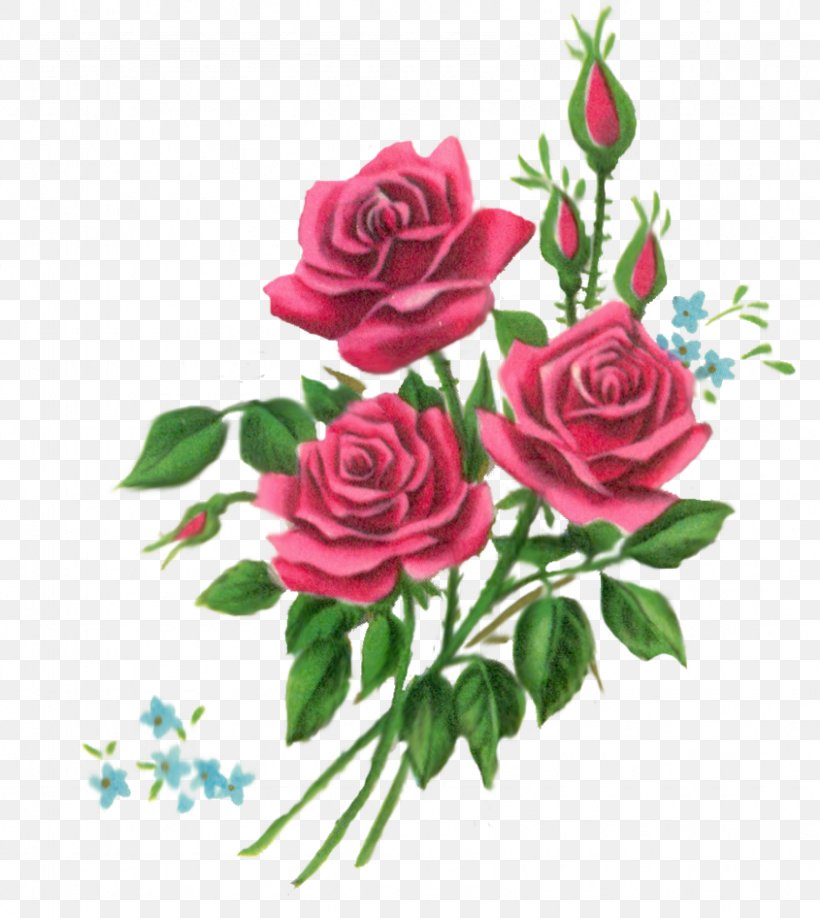 Flower Bouquet Floral Design Rose Clip Art, PNG, 845x946px, Flower, Annual Plant, Art, Artificial Flower, Birth Flower Download Free