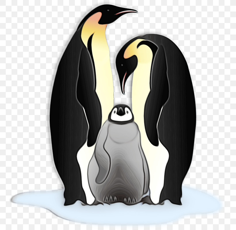 King Penguin Penguins Birds Flightless Bird Beak, PNG, 757x800px, Watercolor, Beak, Biology, Birds, Flightless Bird Download Free