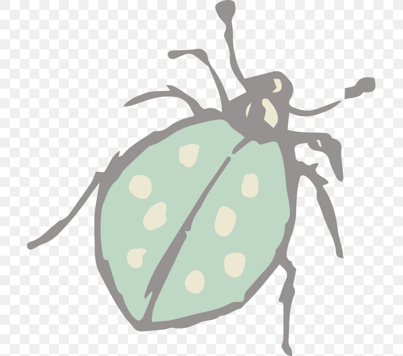 Beetle Ladybird Clip Art, PNG, 709x724px, Beetle, Arthropod, Coccinella Septempunctata, Image File Formats, Insect Download Free