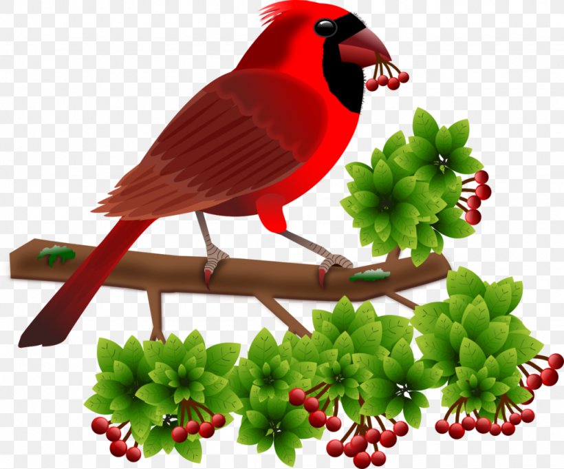 Premium Vector  Nightingale bird cartoon illustration
